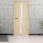 (65 photos) Bleached oak doors in the apartment interior photo