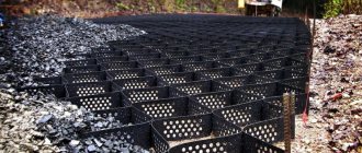 Geogrid for ecological car parking