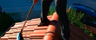 Как избавиться от мха на крыше и предотвратить его появление?