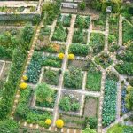 how to make a beautiful garden design