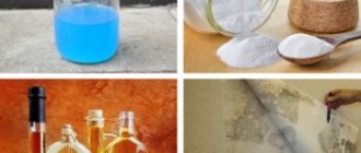 Folk remedies against mold and mildew on the floor